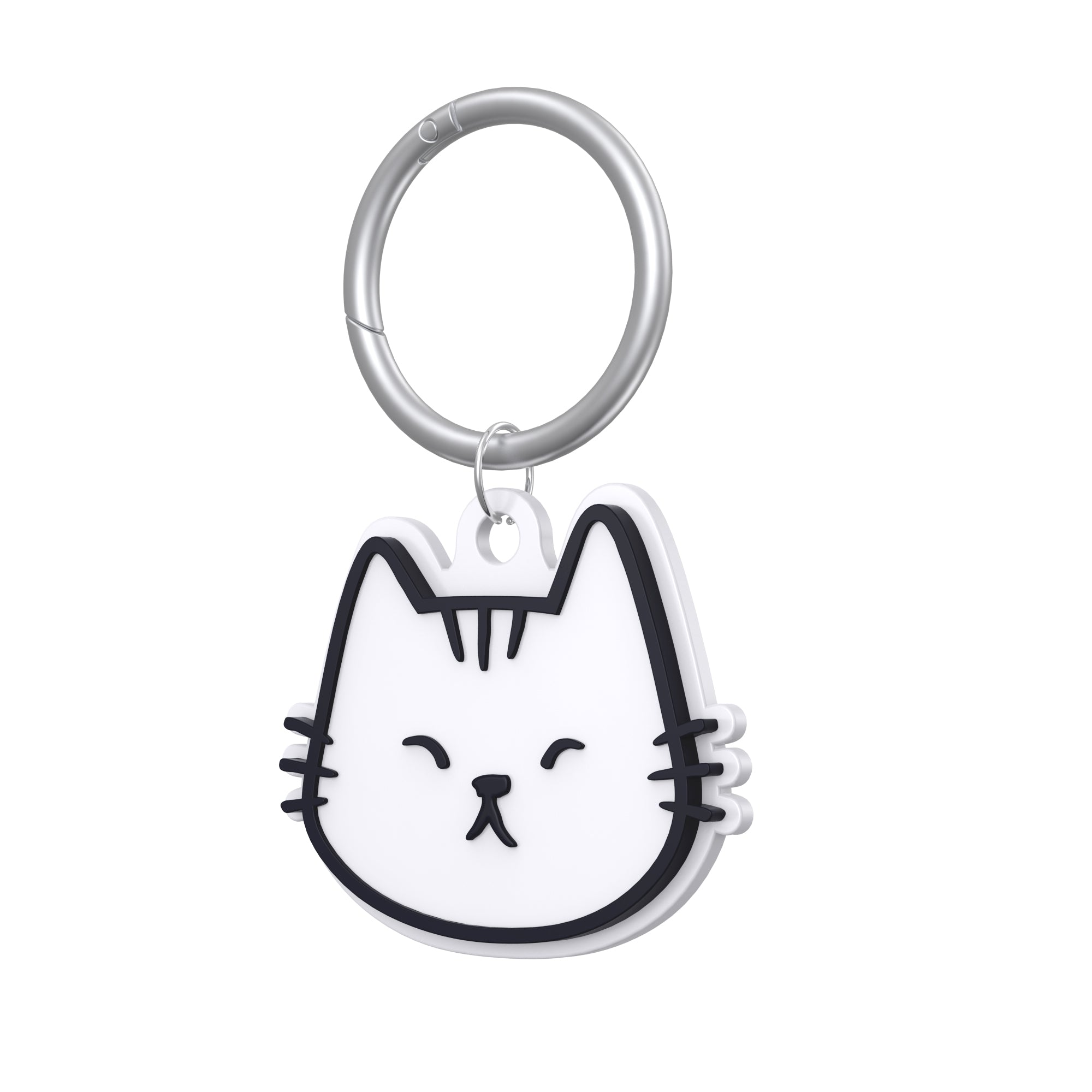 エアタグ キーチェーンケース: キャストコレクション